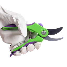 A person holding pruning shears